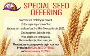 Special Seed Offering